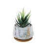 White 1 Pieces Succulent Artificial Plant With Pot