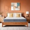LiveIn Bounce - 3 Zone Pocket Spring with HR Foam Mattress for Zero Motion Transfer (75 x 48 in, 6 Inches)