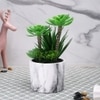 Artificial Succulent Indoor Plant With Ceramic Pot
