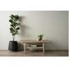 Scandinavian Forres Coffee Table Natural Wood Finish