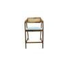 Adrasteia Solid Wood Lounge Chair In Blue Colour