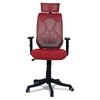 Zeeazyana High Back Ergonomic Chair in Red Colour