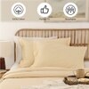 Ginger Set Of 2 Pillow Covers with Beige colour