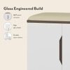Baltoro 20 Pair Shoe Rack with Seating in White Finish