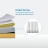 Sleepwell Ortho Pro Spring Mattress Medium Firm Single 78x36x8 Inch