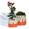 Playful Orange Concrete Planters -Set of 2