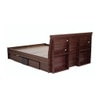Ryouta Engineered Wood King Size Box Storage Bed In Wenge Finish
