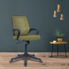 Diicea Mid Back Ergonomic Chair in Pearl Green Colour