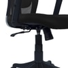 Dreaceo High Back Ergonomic Chair in Black Colour