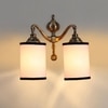 Devansh Metal Electric Wall Light in Multi Colour with Multi Shade Count of 2 Lights