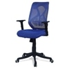Zeeazyana Mid Back Ergonomic Chair in Blue Colour