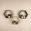 Oliver Iii Hexagonal Shaped Set Of 3 Wooden Wall Shelves