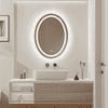 Oval Shape Lighted LED Mirror Modern Vanity Mirror