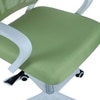Naamikoa Mid Back Ergonomic Chair in Pearl Green Colour