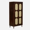 Selvian Solid Wood  Tall Cabinet In Tobacco Colour