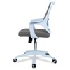 Xeanea Mid Back Ergonomic Chair in Grey Colour