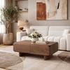 Olen Solid Wood Rectangular Storage Coffee Table In Amber Walnut Finish