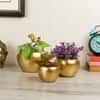 Apple Planter Set Of 3 In Gold Colour
