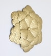 Vamli Abstract Metal Wall Decor in Gold Set of 1