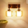 Braelyn Dual Arm Glass and Metal wall light