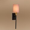 Devansh Metal Electric Wall Light in Black Colour with Grey Shade Count of 1 Light