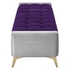 Hoslo Velvet 2 Seater Ottoman Bench in Purple & Grey Color