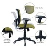 Peacifice Mid Back Ergonomic Chair in Pearl Green Colour