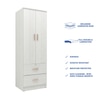 Ren 2 Door Engineered Wood Wardrobe in Silver Oak Finish