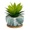 Artificial Aloe Vera Plant In A Patterned Ceramic Pot With A Wooden Plate