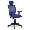 Jeaorda High Back Ergonomic Chair in Blue Colour