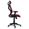 Zeeazyana High Back Ergonomic Chair in Maroon Colour