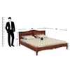 Cartier Solid Wood Queen Size Non Storage Bed In Brown Finish
