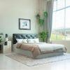 Charcoal Engineered Wood Queen Size Bed In White Finish