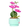 Artistic  Face Planter With Pink Artificial Orchids
