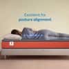 Sleepwell Ortho Pro Mattress Medium Firm Neem Fresche Cool Yarn Fabric Double 78x48x5 Inch