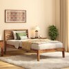 Elwyn Nonstorage Single Bed In Teak Finish