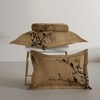 Stoa Paris Super King Size 100% Cotton Bedsheet with 2 Pillow Covers  Size Brown Charcoal