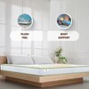 Sleepwell Spinetech Classic Mattress 8 inch Double High Resilience (HR) Foam Mattress (L x W: 84 inch x 48 inch)