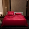 Stoa Paris 300 TC Satin Bedsheet Super King Size Bed With Pillow Covers in Flirty Red