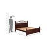 Axis Solid Wood King Size Non Storage Bed In Walnut Finish