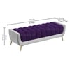 Hoslo Velvet 2 Seater Ottoman Bench in Purple & Grey Color