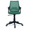 Ddeasirea Mid Back Ergonomic Chair in Dark Green Colour