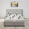 GrandeOrthopedic Euro Top With Rebotech Technology 5.5 Inch Single Size Bonded Foam Mattress (78X35 Inches), ConvolutedHR Foam, SoftRelax Comfort Mattress
