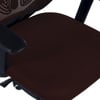 Zeeazyana High Back Ergonomic Chair in Brown Colour