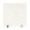 Rainbow Winged Marble Showpiece
