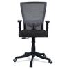 Ebeaony Mid Back Ergonomic Chair in Black Colour