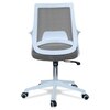 Xeanea Mid Back Ergonomic Chair in Grey Colour