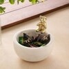 Marble Nut candy Bowl Brass Teddy embedded