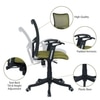 Eexcaeal Mid Back Ergonomic Chair in Pearl Green Colour