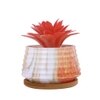 White 1 Pieces Succulent Artificial Plant With Pot
